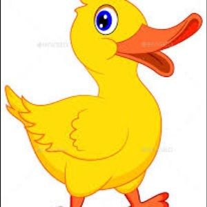 Meet your Posher, Diego